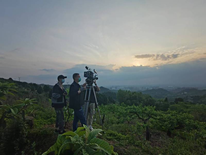 创意破圈！兴宁区电商产品宣传视频用故事化叙事引爆流量
