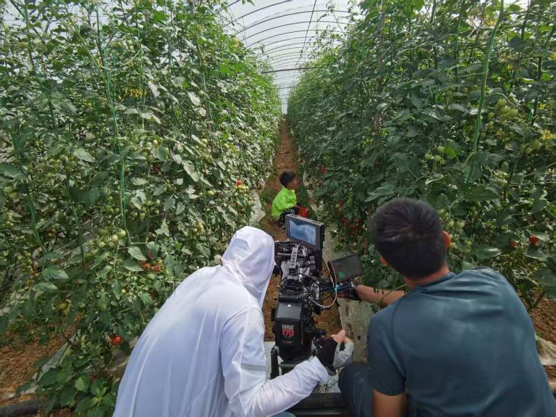 兴宁区产品宣传视频拍摄公司进阶指南，助力品牌抢占传播高地